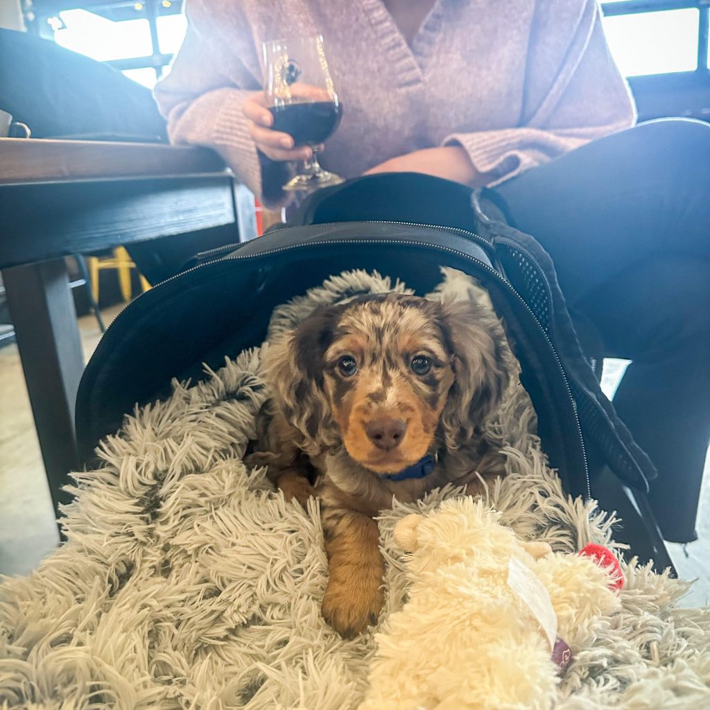 My First Brewery –&nbsp;Widowmaker