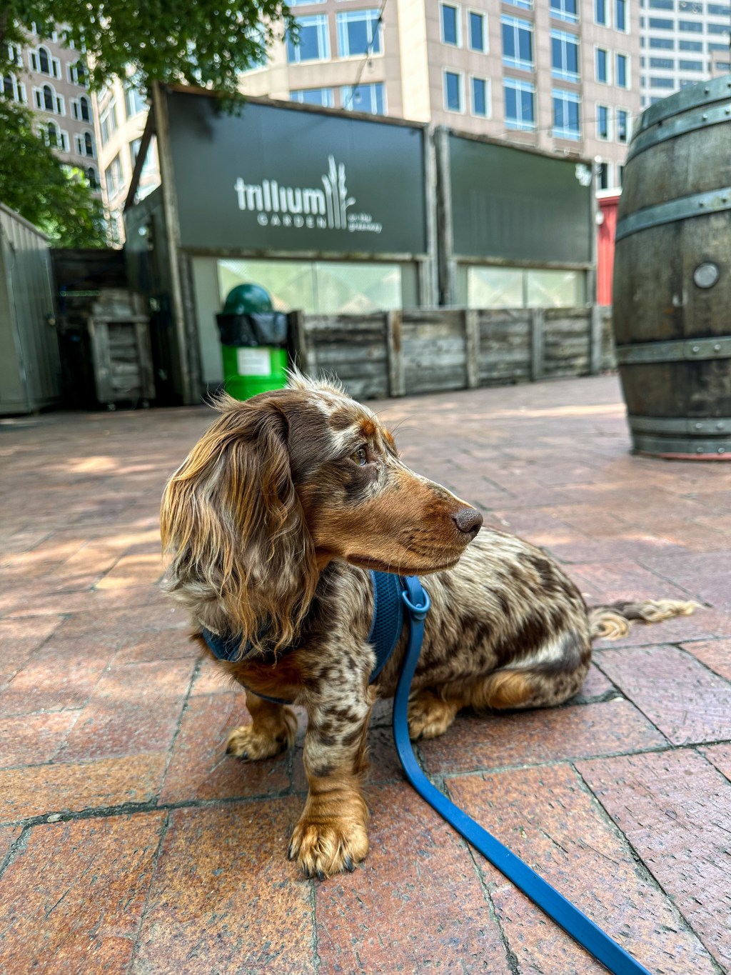 Trillium on the&nbsp;Greenway