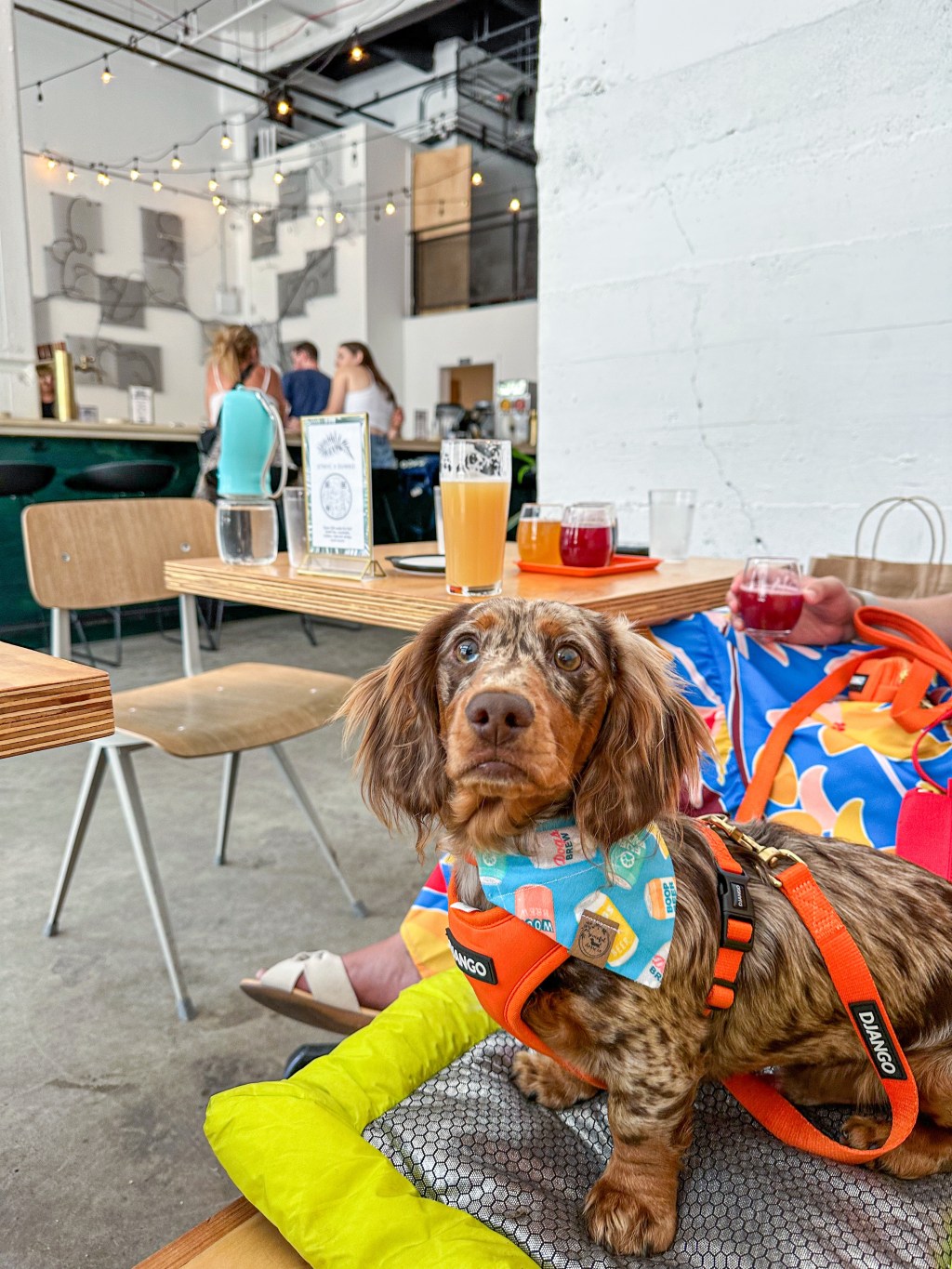 Evil Twin Brewing&nbsp;DUMBO