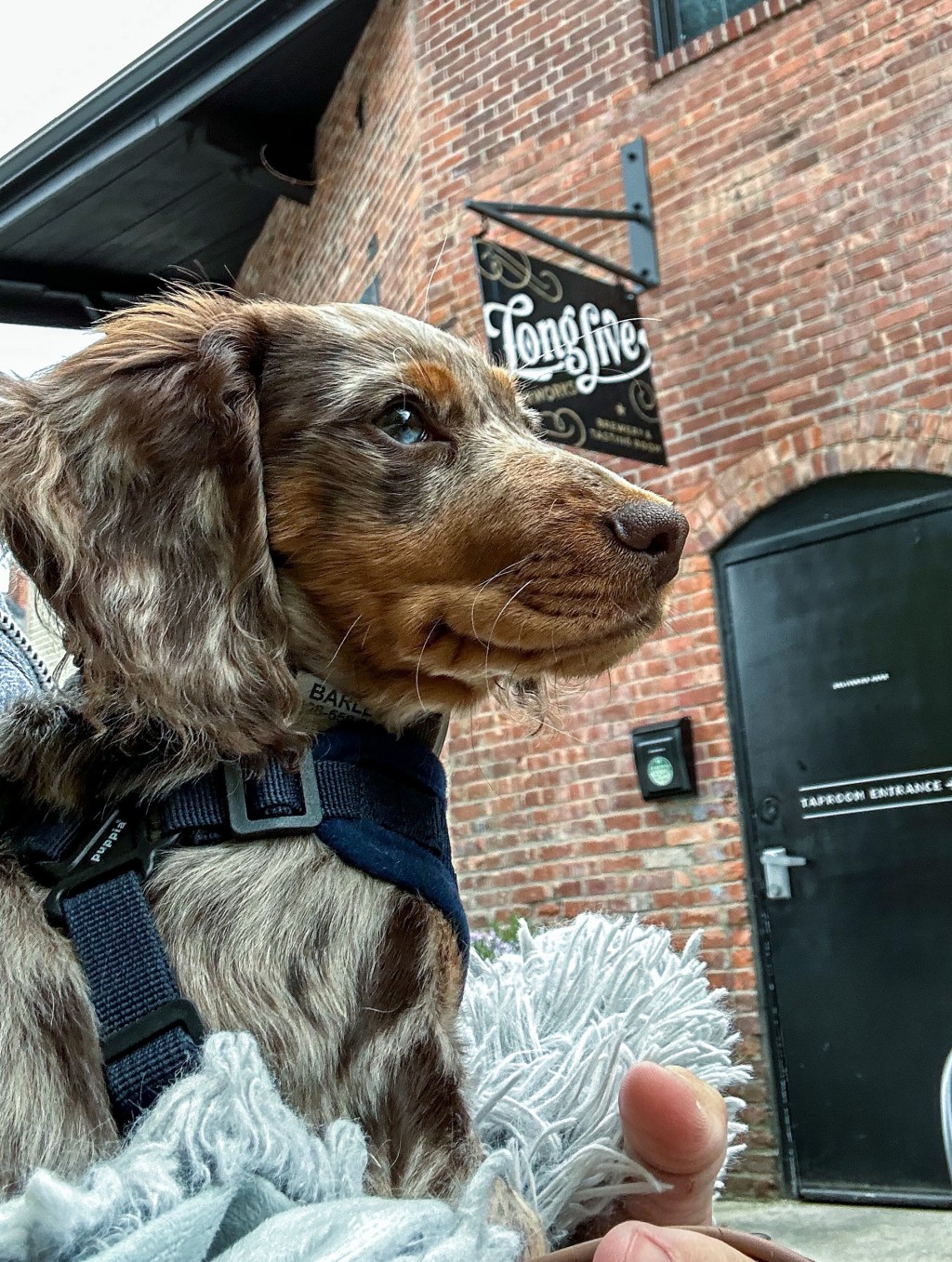 Long Live Beerworks&nbsp;(Providence)