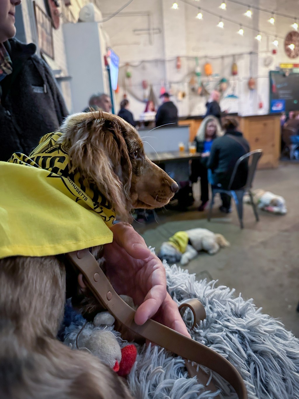 Navigation Brewing Co.