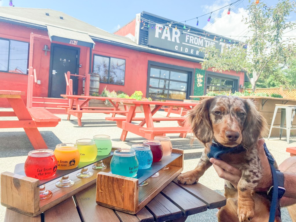 Far From The Tree&nbsp;Cider