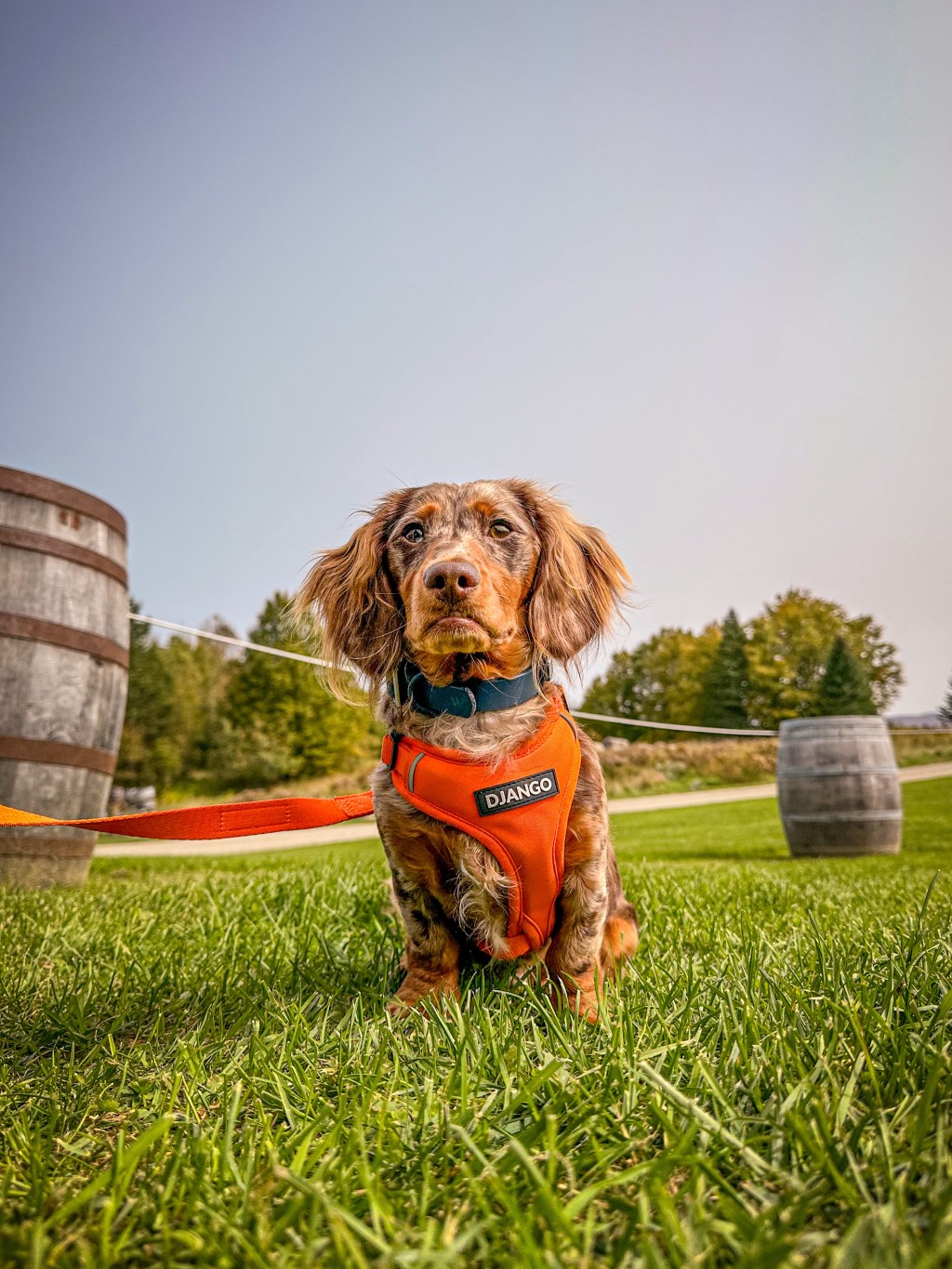 A Fall Visit to Hill&nbsp;Farmstead