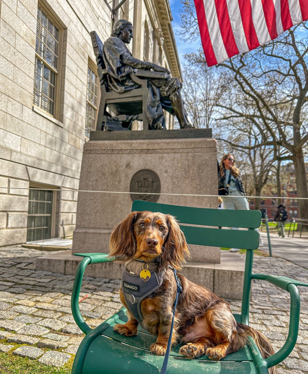 I’m a Harvard&nbsp;Boy!