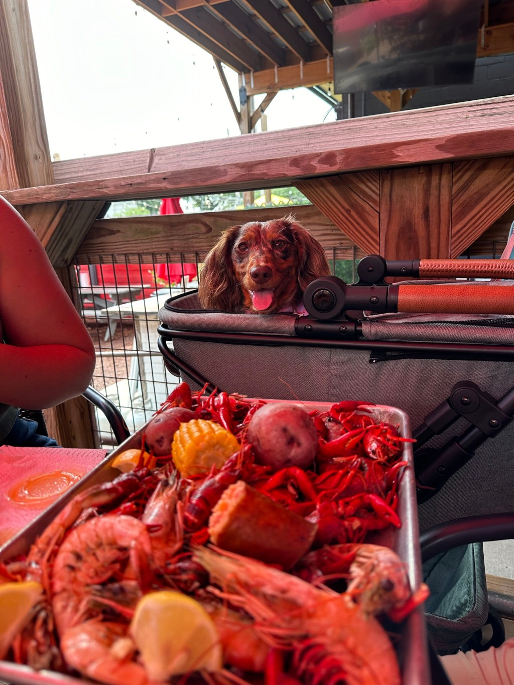 Barley goes to New&nbsp;Orleans