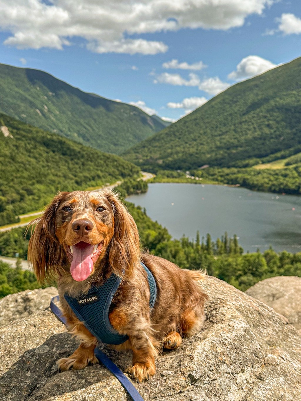 The Mountains are&nbsp;Calling