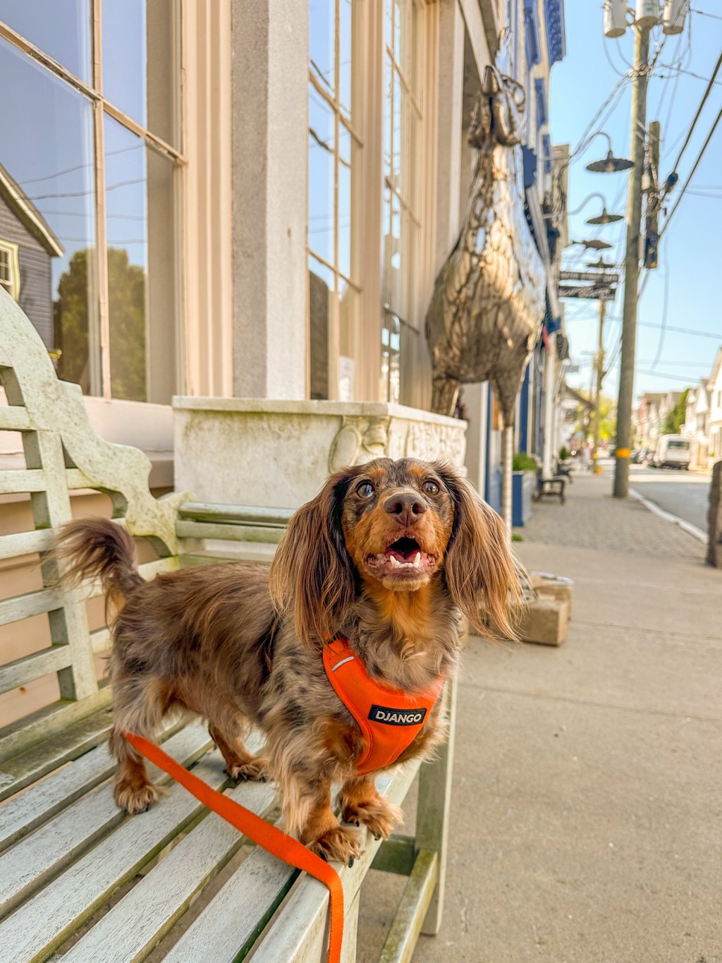 A weekend in&nbsp;Mystic!